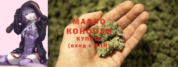 Альфа ПВП Бородино
