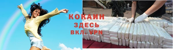 Альфа ПВП Бородино