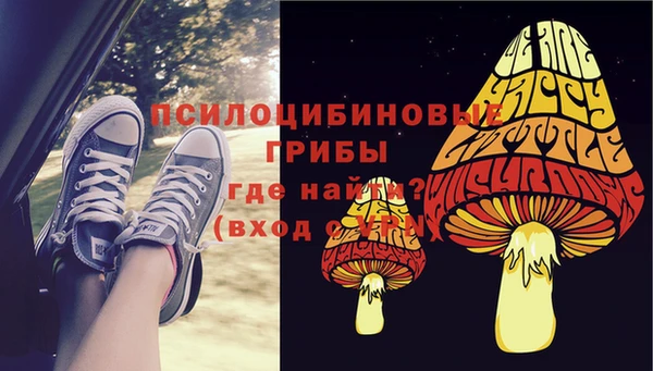 Альфа ПВП Бородино
