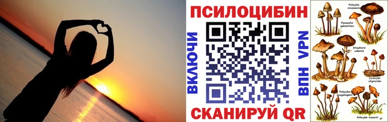 Купить закладки  Сибай  Галлюциногенные грибы GOLDEN TEACHER 
